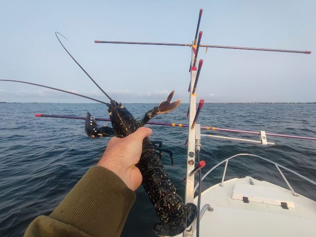 At sea: the satellite antenna on the boat… and a lobster